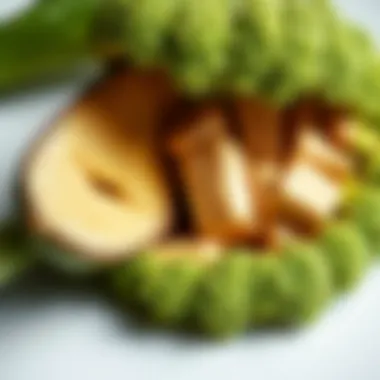 Magnificent Кутикулы волоса: Структура, Функции и Уход Magnificent Кутикулы волоса: Структура, Функции и Уход