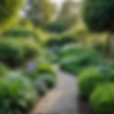 Serene Fragrant Garden Setting A serene setting with fragrant plants and herbs in a garden.