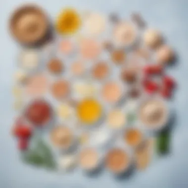 Ingredients of Skin Patches Ingredients used in skin patches laid out artistically