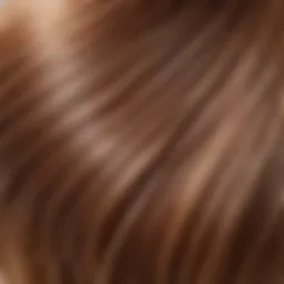 A close-up of shiny, healthy hair