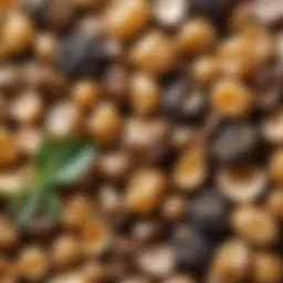 Benzoin resin in its natural form
