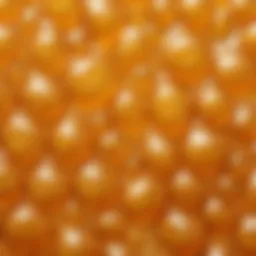 Close-up of biosaccharide gel showcasing its texture