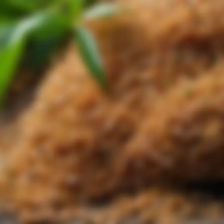 Exquisite texture of Biothal scrub showcasing its natural ingredients