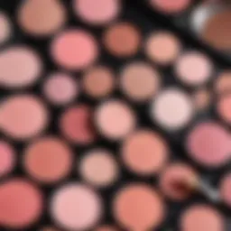 Color palette showcasing various blush shades.