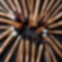 Close-up of various types of brushes used in cosmetics