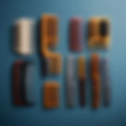 A variety of combs arranged aesthetically to showcase their differences
