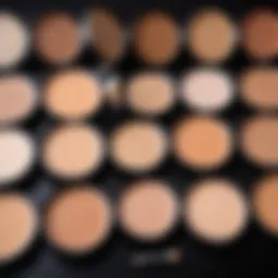Color wheel illustrating concealer shades