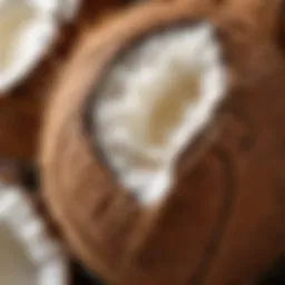 Close-up of coconut oil texture