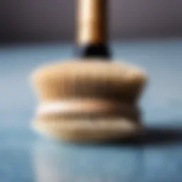 Brush used for dry brushing technique
