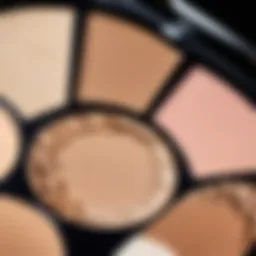 Close-up of the dry contour product on a makeup palette