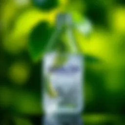 Эколатей и его мицеллярная вода: состав и особенности Introduction