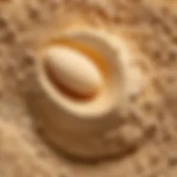 Close-up of enzyme powder texture