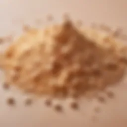 Enzyme powder texture close-up