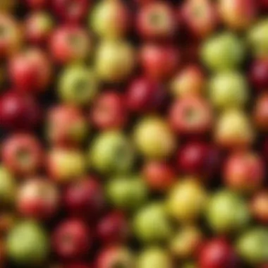 An artistic display of various apple varieties, showcasing their vibrant colors and textures.