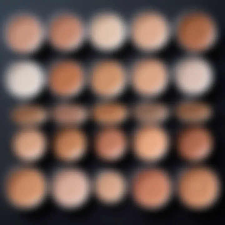 Illustration showing different skin types with suitable concealers