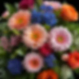 A bouquet of various flowers representing diverse floral fragrances