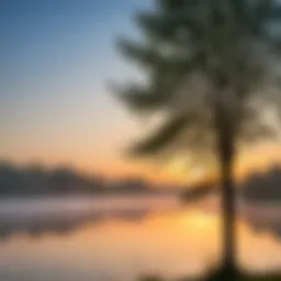 A tranquil morning scene with sunrise