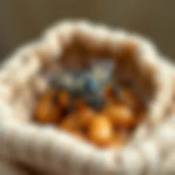 Группа молочной кислоты: их роль и влияние на косметику Introduction