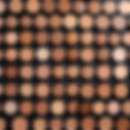 A variety of concealer shades arranged artistically