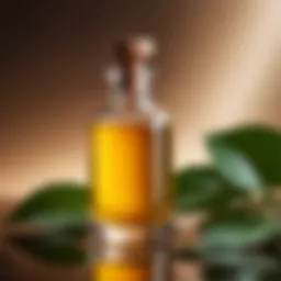 Hydrophilic oil in a luxurious bottle