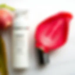 Карите: Понимание этого уникального продукта Introduction