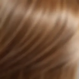 A close-up view of healthy, glossy hair reflecting light, symbolizing the effects of keratin treatments.
