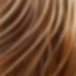 A close-up of healthy hair strands reflecting light.