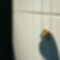 Масло для кутикулы: как использовать и рекомендации Introduction