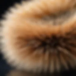 Close-up of natural bristles on a powder brush
