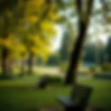 Tranquil Park Atmosphere Serene park area perfect for relaxation and leisure in Nevinnomyssk.