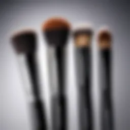 Professional makeup brush set for foundation application