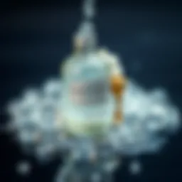 Парфюмерная вода: стойкость и ее особенности Introduction