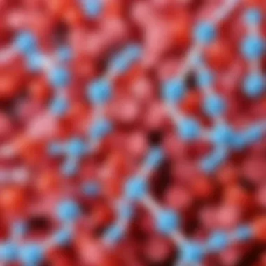 Visual representation of the sources of peptides
