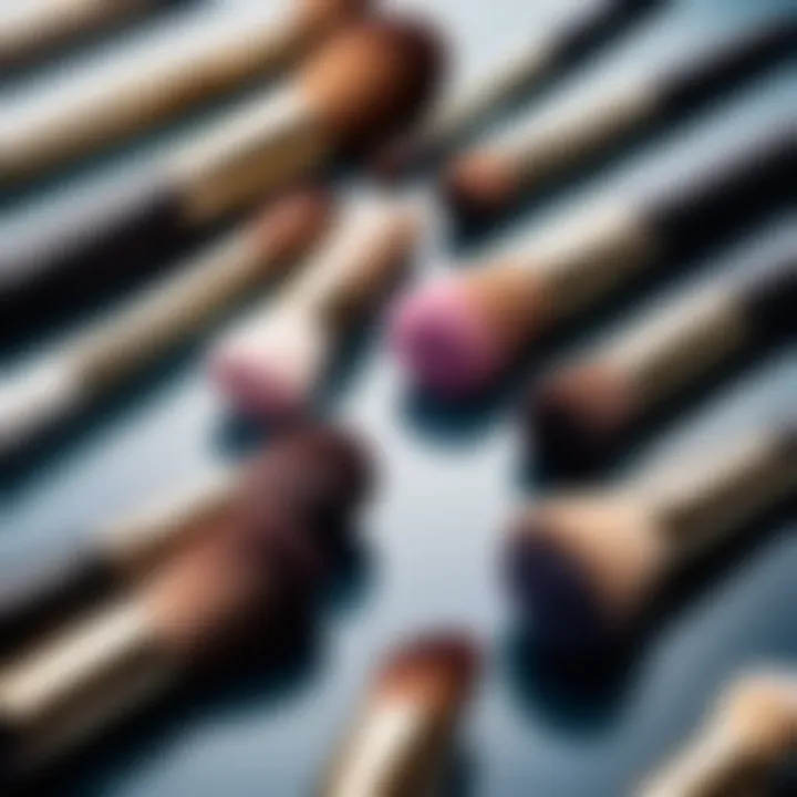 Set of professional makeup brushes arranged aesthetically