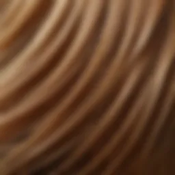 Reflection of healthy hair after treatment
