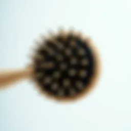 Close-up view of a round brush showcasing its bristles and handle.