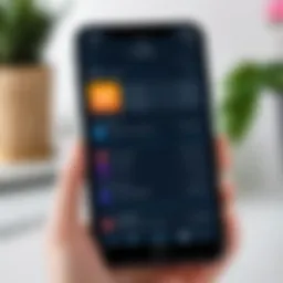 User interface of the SDEK personal account