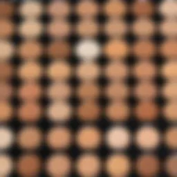 Color palette showcasing various concealer shades