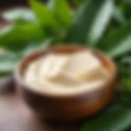 Natural shea butter in a wooden bowl surrounded by green leaves