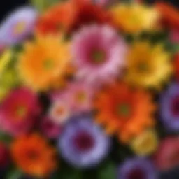 A vibrant bouquet of fresh flowers representing floral fragrances
