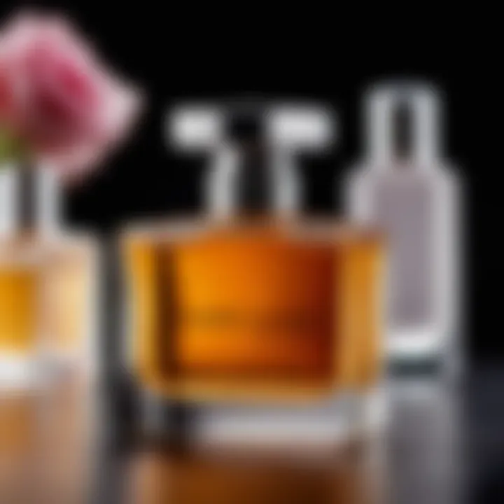 A collection of recommended perfumes from top brands