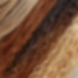 Different hair types showcasing unique textures