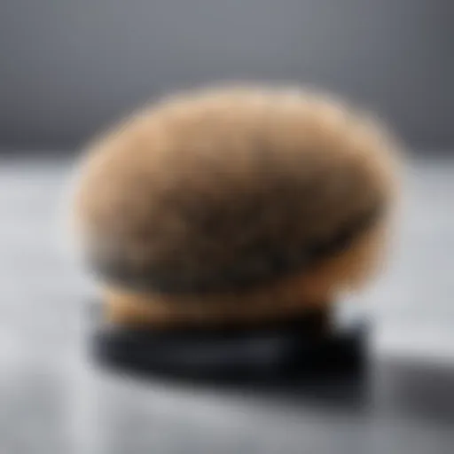 A luxurious brush designed for facial care, showcasing soft bristles.