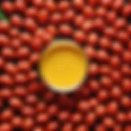 Vibrant sources of vitamin E