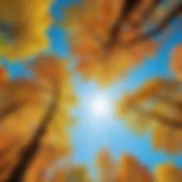 Vibrant energy emanating from nature
