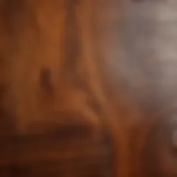 Close-up of rich wooden textures