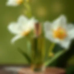 Женские восточные духи: Погружение в мир ароматов Introduction